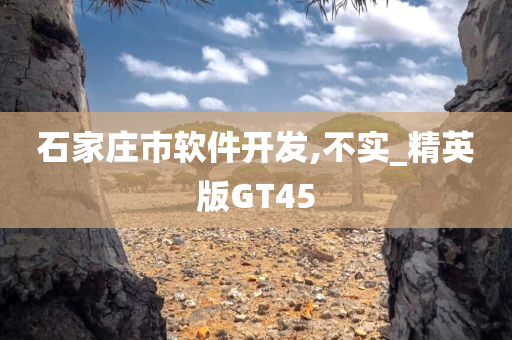 精英版GT45 第10页