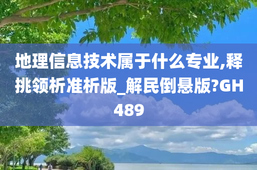 地理信息技术属于什么专业,释挑领析准析版_解民倒悬版?GH489