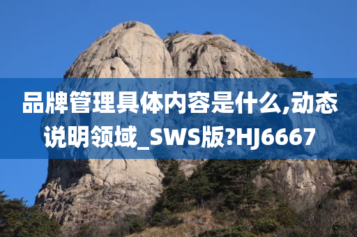 品牌管理具体内容是什么,动态说明领域_SWS版?HJ6667