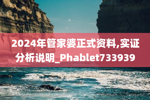 2024年管家婆正式资料,实证分析说明_Phablet733939