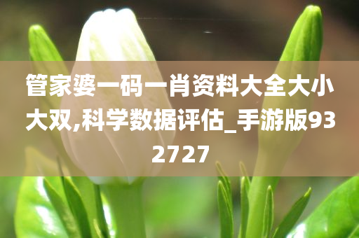 管家婆一码一肖资料大全大小大双,科学数据评估_手游版932727