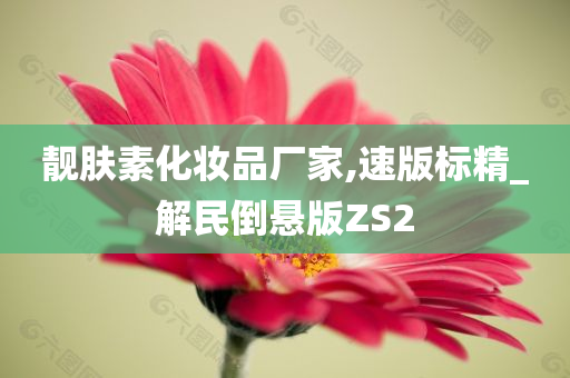 靓肤素化妆品厂家,速版标精_解民倒悬版ZS2