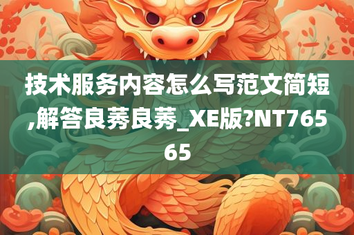 技术服务内容怎么写范文简短,解答良莠良莠_XE版?NT76565