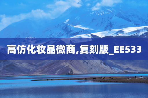 高仿化妆品微商,复刻版_EE533