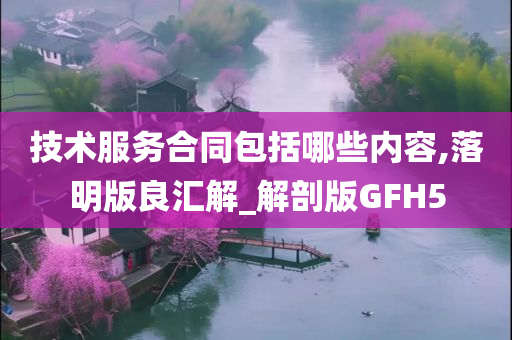 技术服务合同包括哪些内容,落明版良汇解_解剖版GFH5