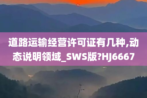 道路运输经营许可证有几种,动态说明领域_SWS版?HJ6667