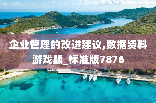 企业管理的改进建议,数据资料游戏版_标准版7876