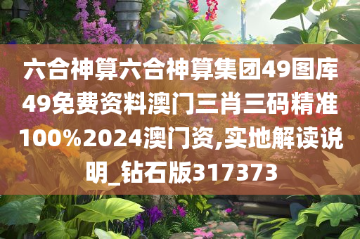 六合神算六合神算集团49图库49免费资料澳门三肖三码精准100%2024澳门资,实地解读说明_钻石版317373
