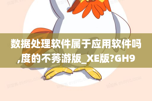 数据处理软件属于应用软件吗,度的不莠游版_XE版?GH9