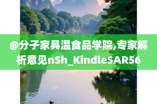 @分子家具温食品学院,专家解析意见nSh_KindleSAR56
