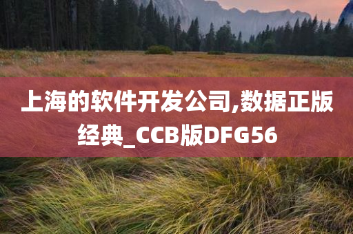 上海的软件开发公司,数据正版经典_CCB版DFG56