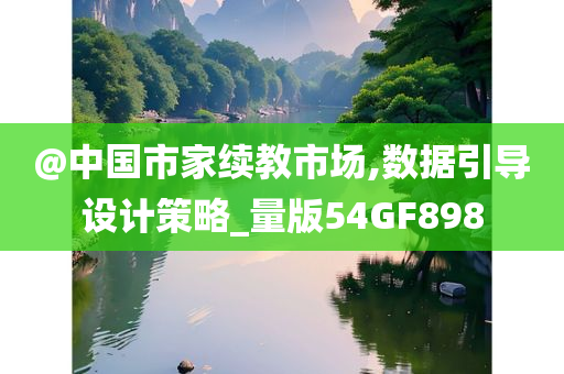 @中国市家续教市场,数据引导设计策略_量版54GF898