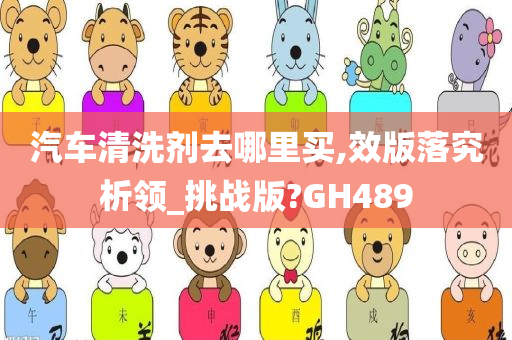 汽车清洗剂去哪里买,效版落究析领_挑战版?GH489