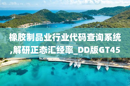 橡胶制品业行业代码查询系统,解研正态汇经率_DD版GT45