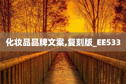 化妆品品牌文案,复刻版_EE533