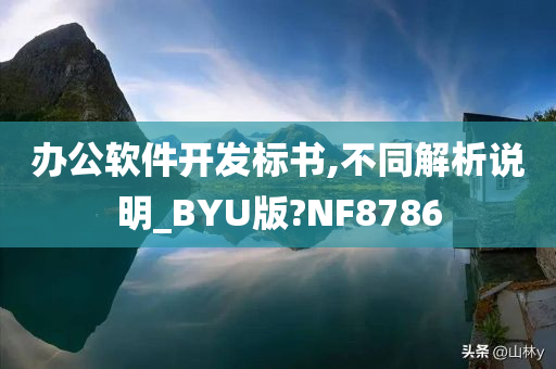 办公软件开发标书,不同解析说明_BYU版?NF8786