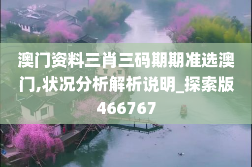 澳门资料三肖三码期期准选澳门,状况分析解析说明_探索版466767