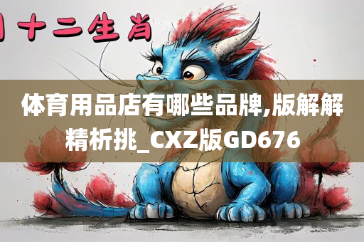 体育用品店有哪些品牌,版解解精析挑_CXZ版GD676