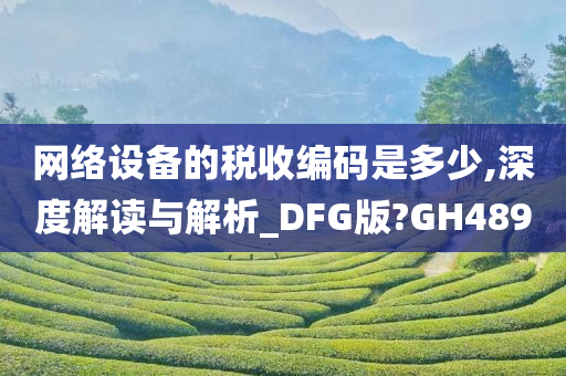 网络设备的税收编码是多少,深度解读与解析_DFG版?GH489