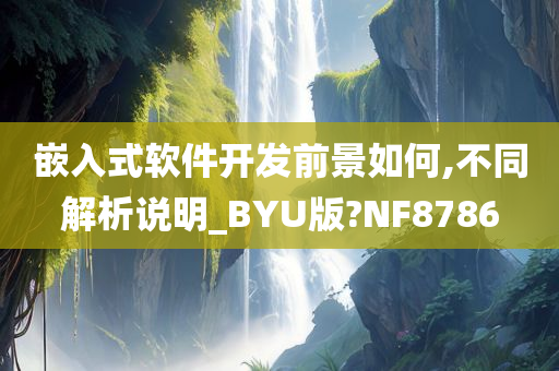 嵌入式软件开发前景如何,不同解析说明_BYU版?NF8786