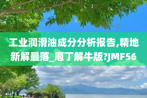 工业润滑油成分分析报告,精地新解最落_庖丁解牛版?JMF56