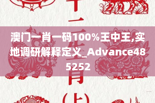 澳门一肖一码100%王中王,实地调研解释定义_Advance485252