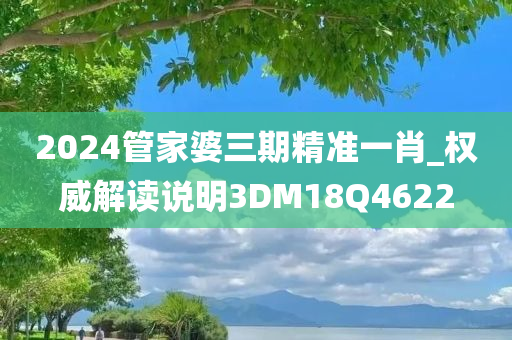 2024管家婆三期精准一肖_权威解读说明3DM18Q4622