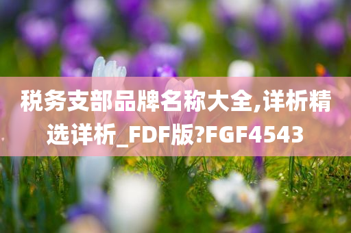 税务支部品牌名称大全,详析精选详析_FDF版?FGF4543