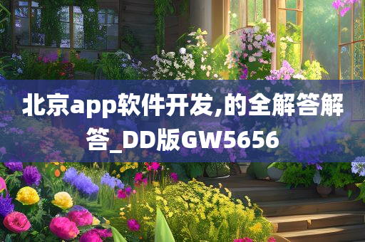 北京app软件开发,的全解答解答_DD版GW5656