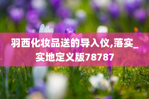 羽西化妆品送的导入仪,落实_实地定义版78787