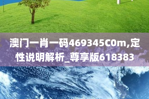 澳门一肖一码469345C0m,定性说明解析_尊享版618383
