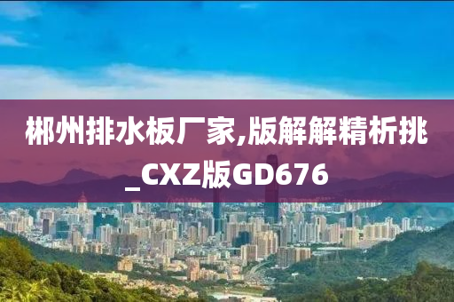 郴州排水板厂家,版解解精析挑_CXZ版GD676