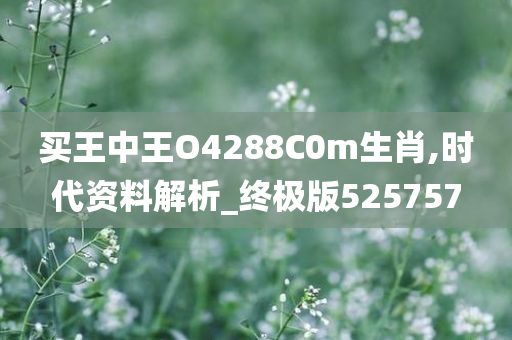 买王中王O4288C0m生肖,时代资料解析_终极版525757