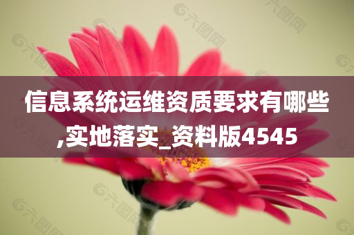信息系统运维资质要求有哪些,实地落实_资料版4545