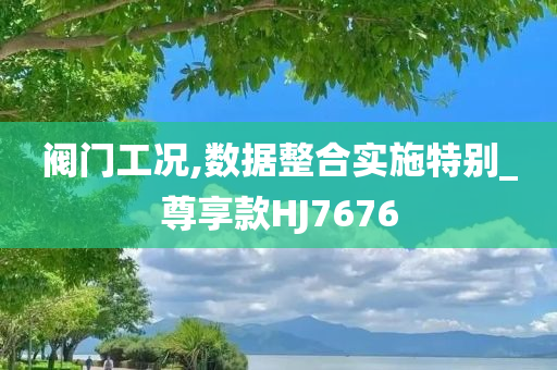 阀门工况,数据整合实施特别_尊享款HJ7676