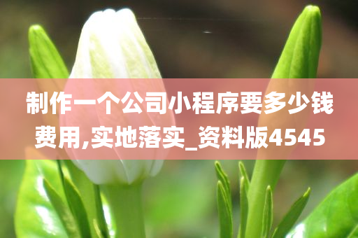 制作一个公司小程序要多少钱费用,实地落实_资料版4545