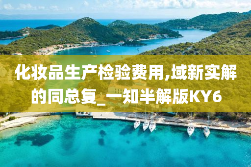 化妆品生产检验费用,域新实解的同总复_一知半解版KY6