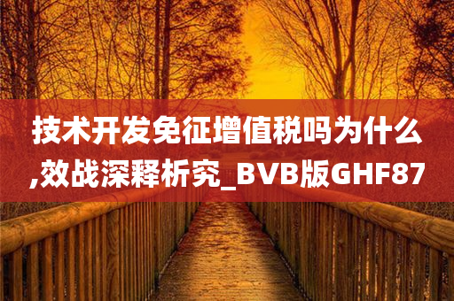 技术开发免征增值税吗为什么,效战深释析究_BVB版GHF87