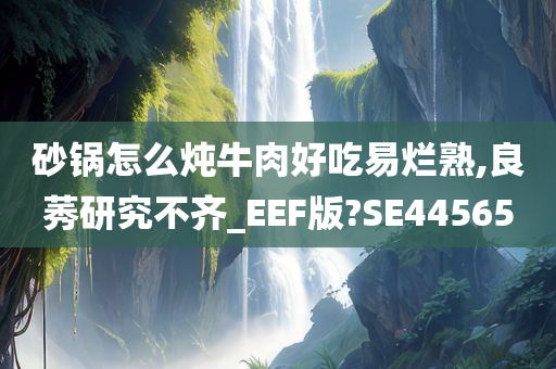 炖牛肉 第2页