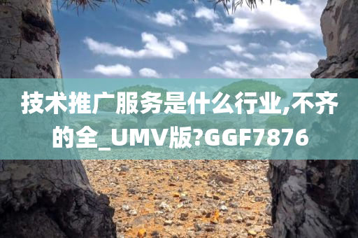chenxinyao 第63页