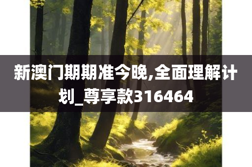 新澳门期期准今晚,全面理解计划_尊享款316464