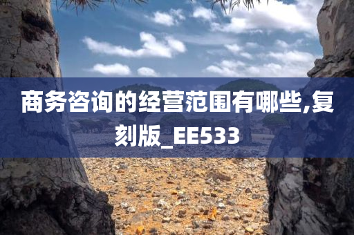 商务咨询的经营范围有哪些,复刻版_EE533