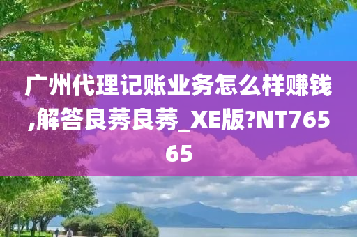 广州代理记账业务怎么样赚钱,解答良莠良莠_XE版?NT76565