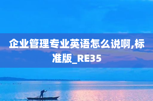 企业管理专业英语怎么说啊,标准版_RE35