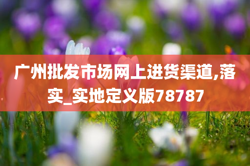 广州批发市场网上进货渠道,落实_实地定义版78787