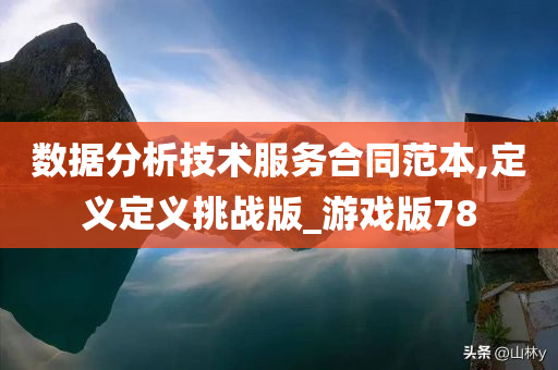 数据分析技术服务合同范本,定义定义挑战版_游戏版78