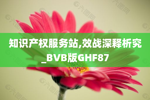 知识产权服务站,效战深释析究_BVB版GHF87