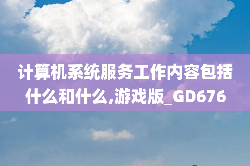 计算机系统服务工作内容包括什么和什么,游戏版_GD676