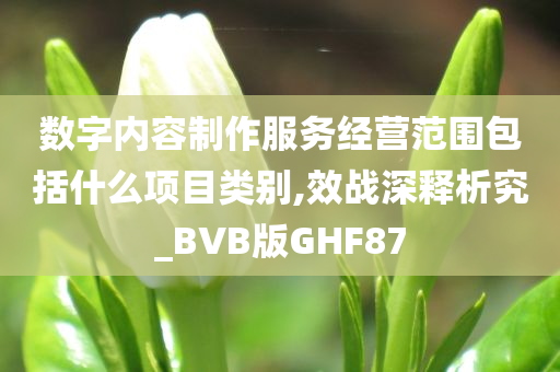 数字内容制作服务经营范围包括什么项目类别,效战深释析究_BVB版GHF87