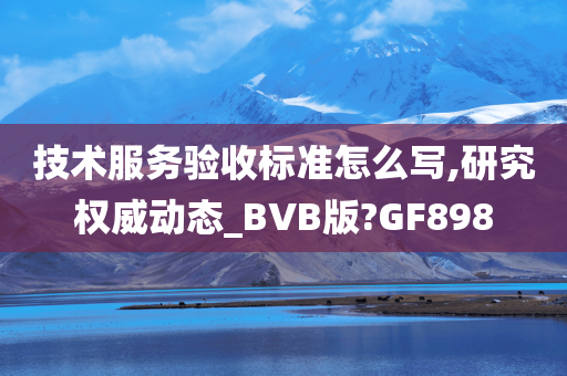 技术服务验收标准怎么写,研究权威动态_BVB版?GF898